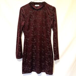 Womens VTG Velvet Burnout Burgundy Dress Size S Dark Fairy Grunge Whimsigoth
